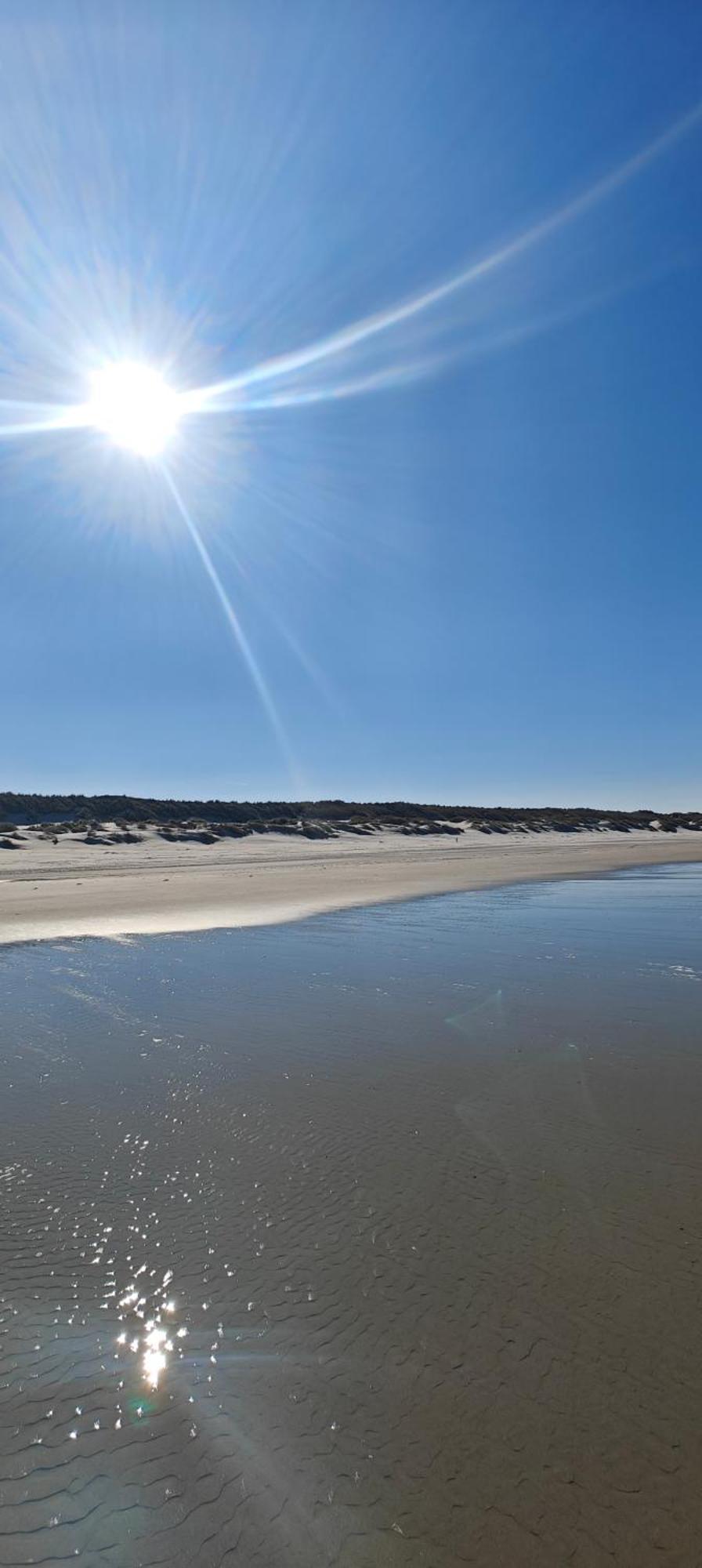 Pension Bakema Ameland Nes  Ngoại thất bức ảnh